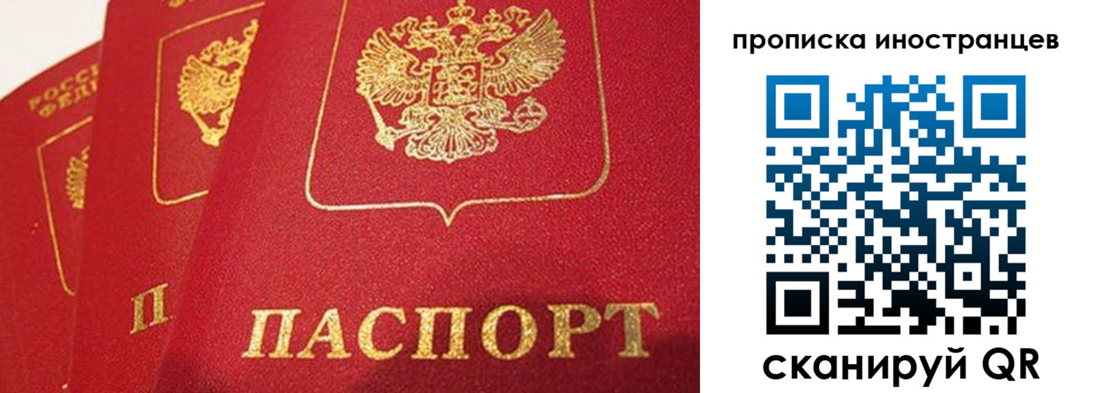 прописка поиск в Эртили